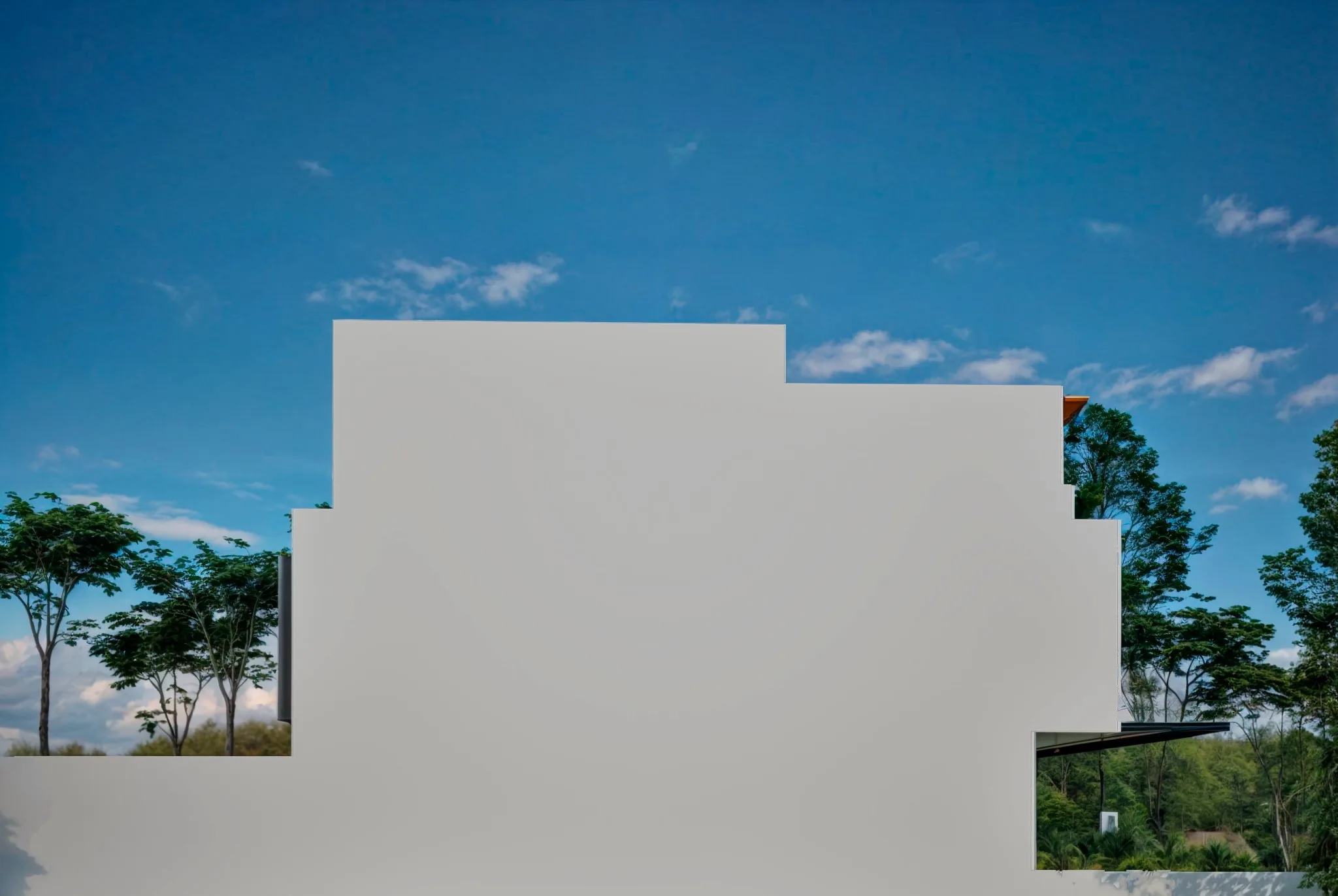 Vista Posterior